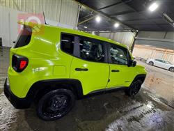 جيب رينيجيد